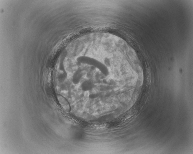 X0000051240495200507152127