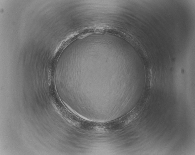 X0000051240496200507152127