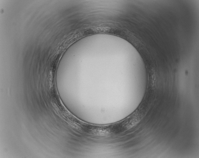 X0000051240498200507152127