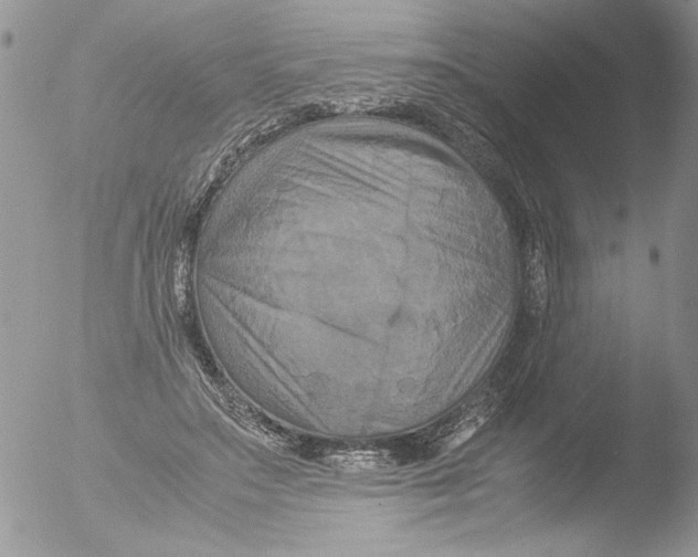 X0000051240499200507152127