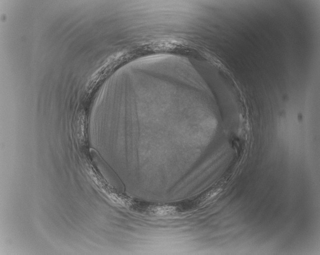 X0000051240501200507152127