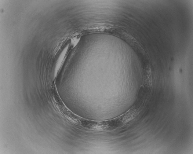 X0000051240504200507152127