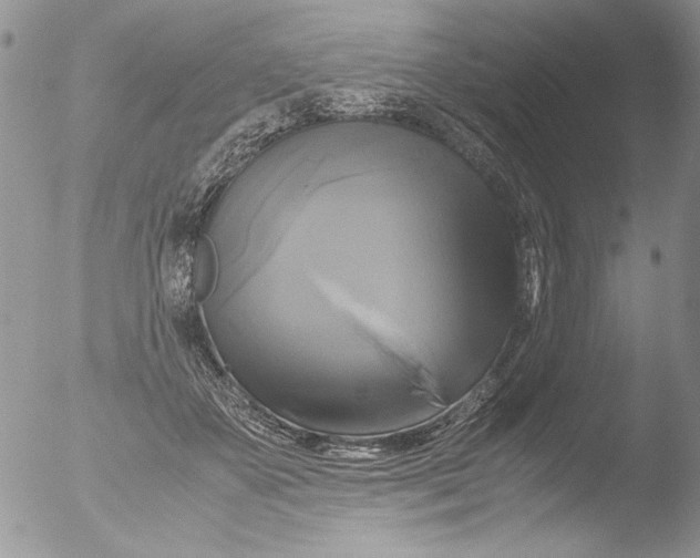 X0000051240507200507152127