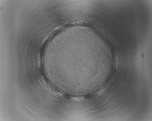 X0000051240508200507152127