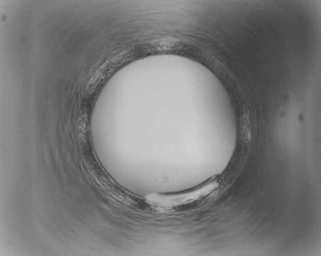 X0000051240509200507152127