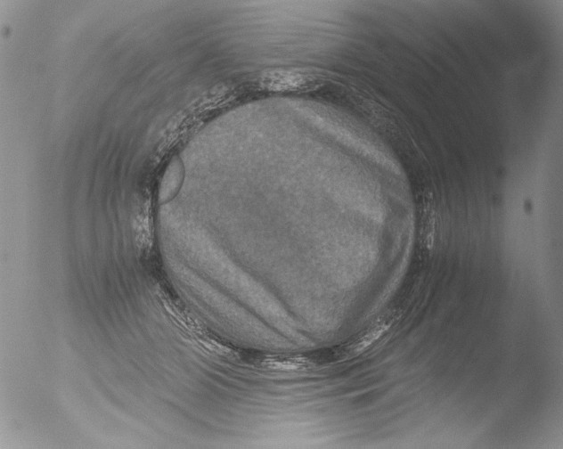 X0000051240510200507152127