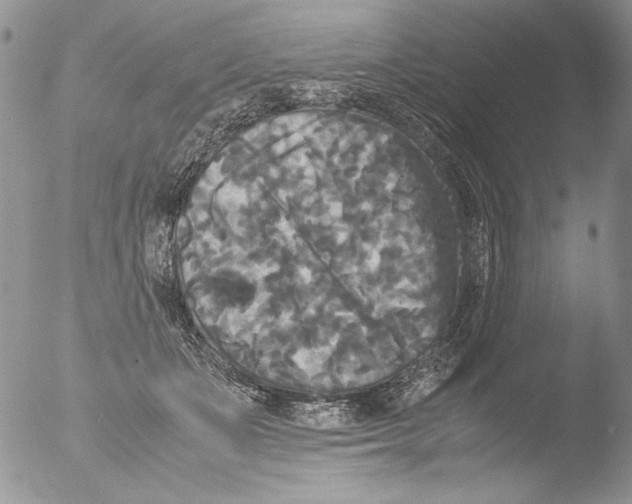 X0000051240511200507152127