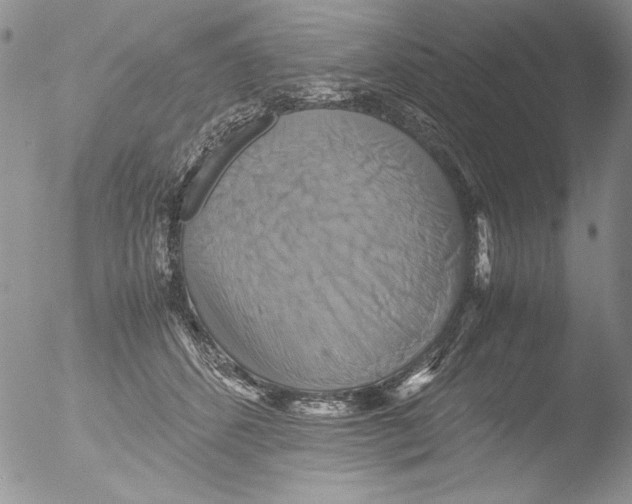 X0000051240512200507152127