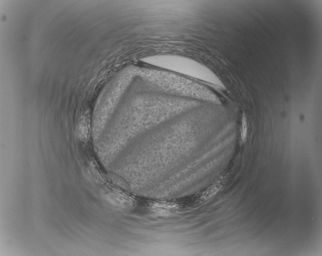 X0000051240515200507152127