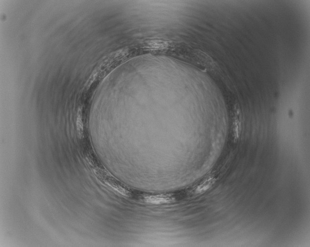 X0000051240516200507152127