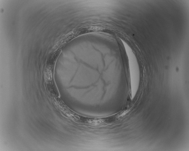 X0000051240517200507152127