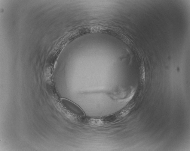 X0000051240519200507152127