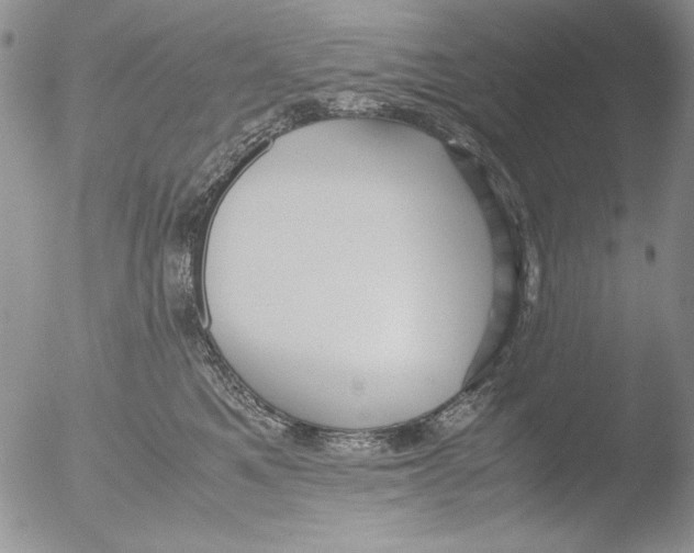 X0000051240521200507152127