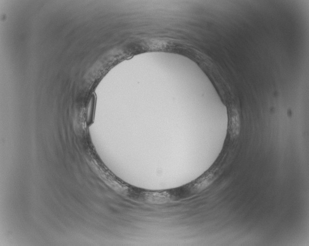 X0000051240525200507152127