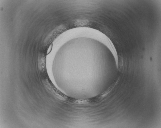 X0000051240526200507152127