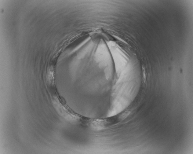 X0000051240527200507152127