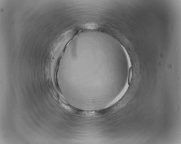 X0000051240528200507152127