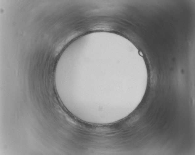 X0000051240529200507152126