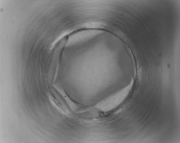 X0000051240530200507152126