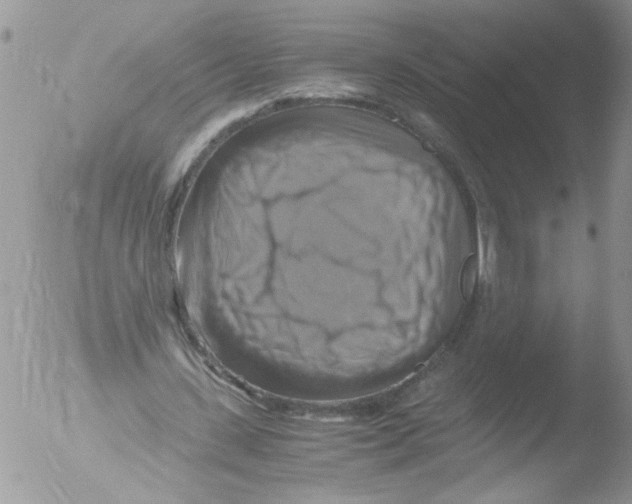 X0000051240531200507152126