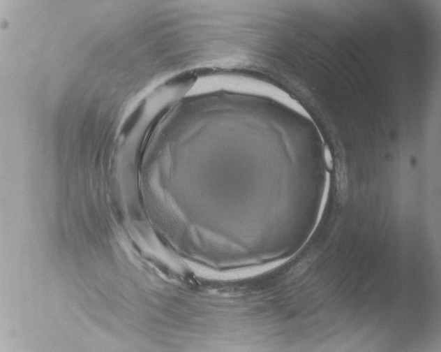 X0000051240532200507152126