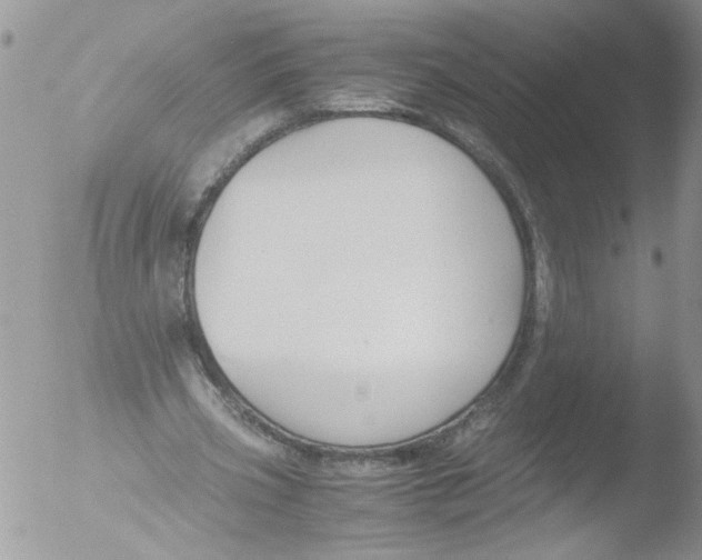 X0000051240533200507152126