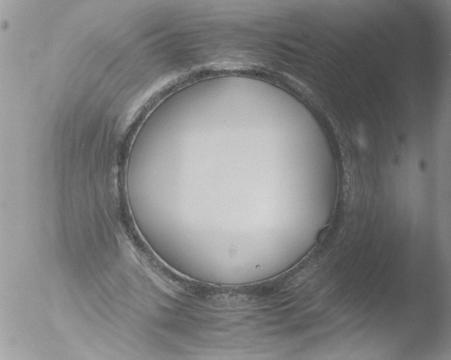 X0000051240535200507152126