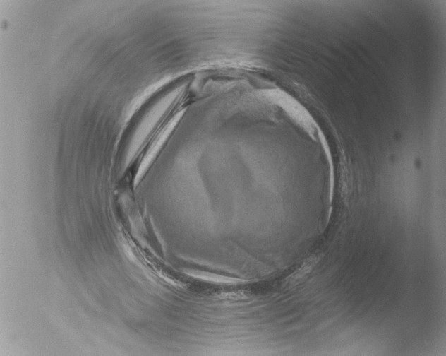 X0000051240536200507152126