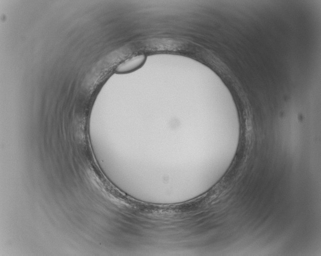 X0000051240537200507152126