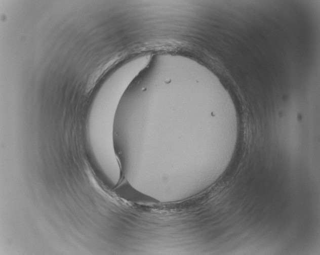 X0000051240538200507152126