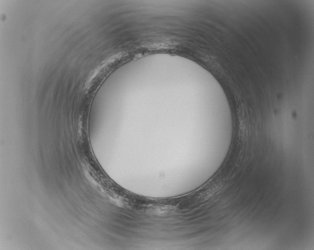 X0000051240539200507152126