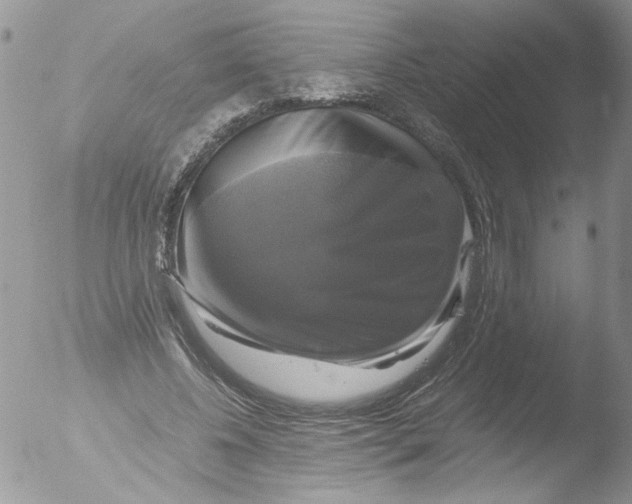 X0000051240540200507152126