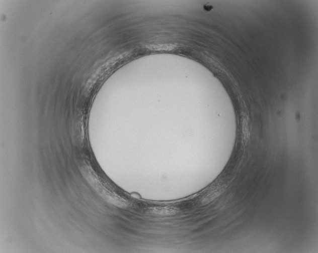 X0000051240541200507152126