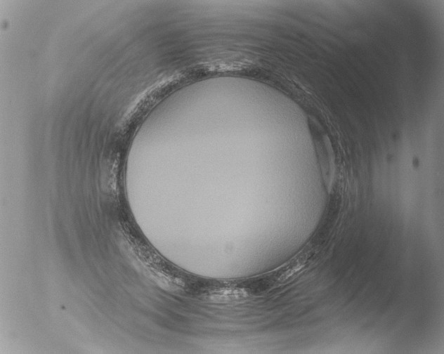 X0000051240543200507152126