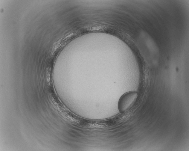 X0000051240545200507152126