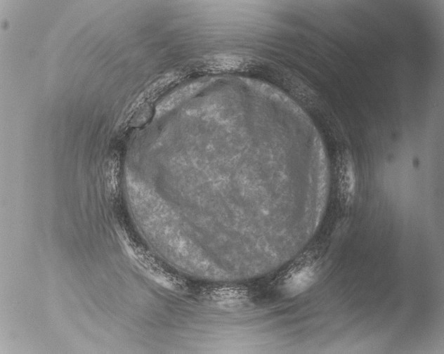 X0000051240546200507152126