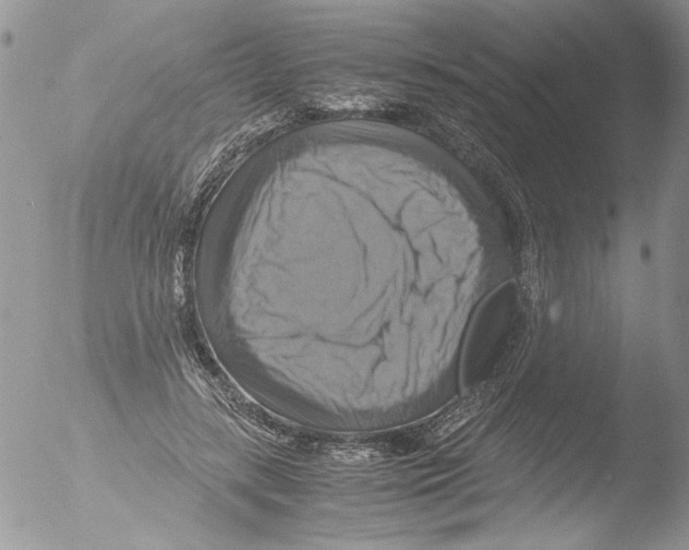 X0000051240547200507152126