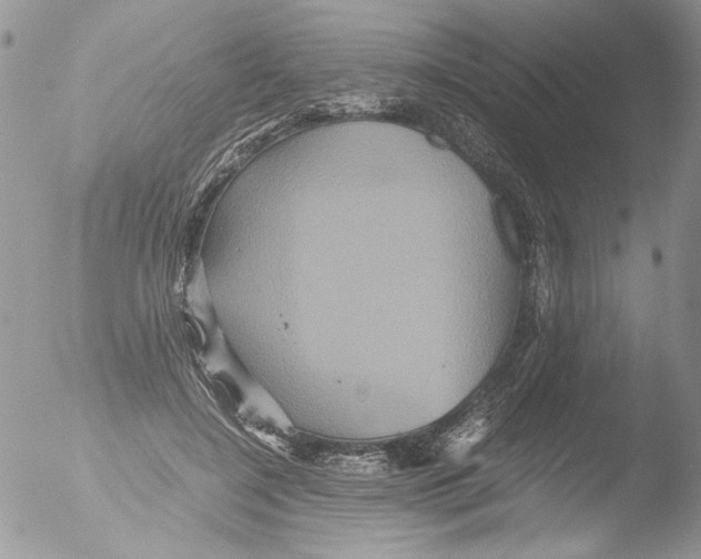 X0000051240548200507152126