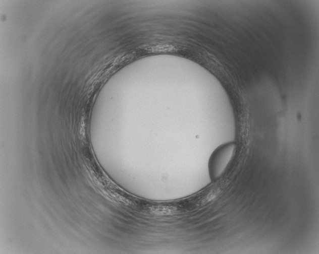 X0000051240549200507152126