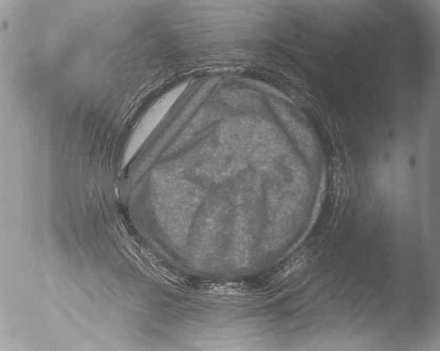 X0000051240550200507152126