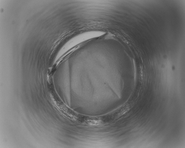 X0000051240552200507152126