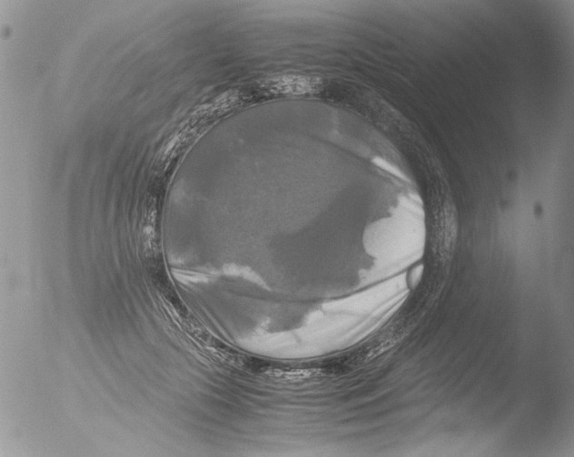 X0000051240553200507152126