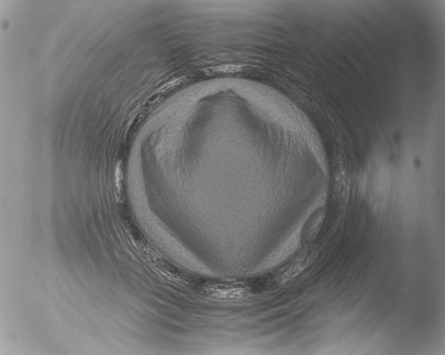 X0000051240555200507152126