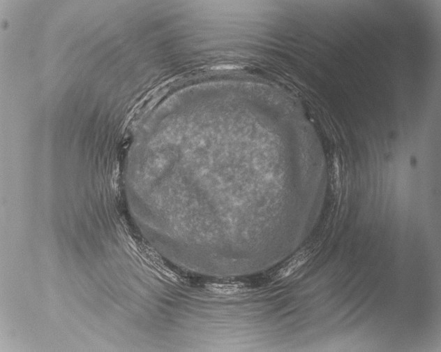 X0000051240556200507152126