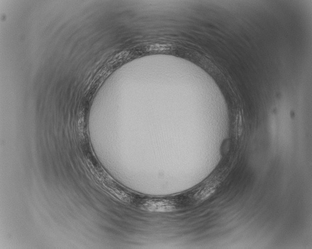 X0000051240557200507152126