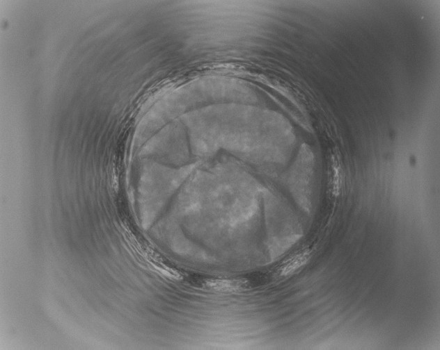 X0000051240558200507152126