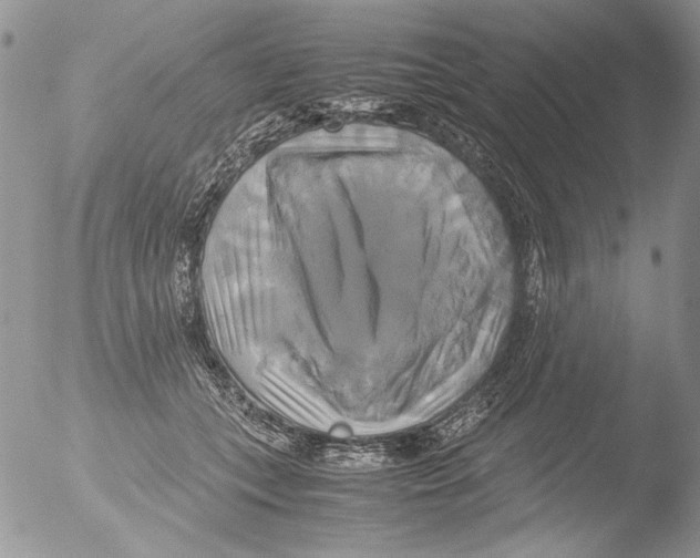 X0000051240559200507152126