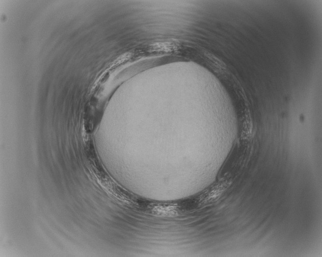 X0000051240560200507152126