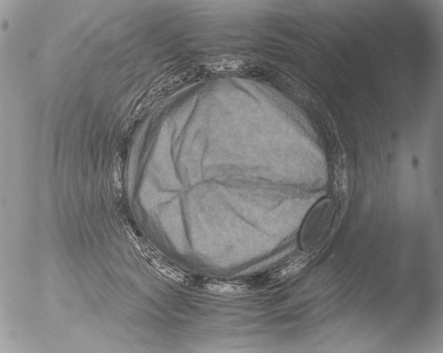 X0000051240561200507152126