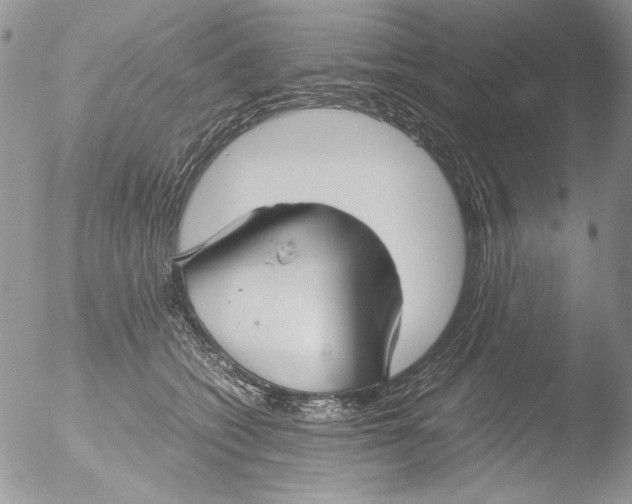 X0000051240562200507152126